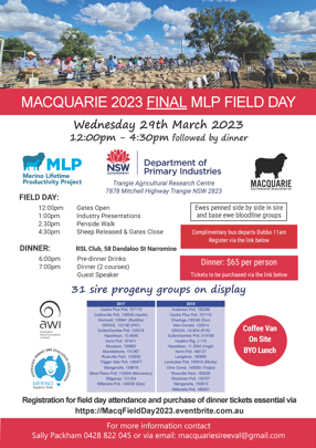Macquarie Merino Lifetime Productivity Project Field Day